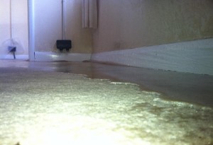 wet carpet sitting water1 300x205 First Response to Water Damage