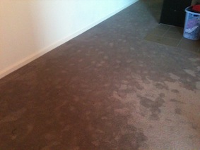 Flooded Carpet Cleaning London