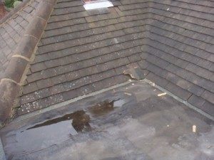 Roof Cleaning & Roof Repairs London